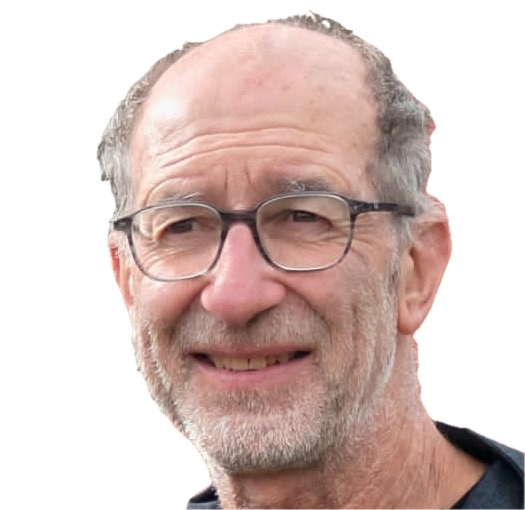 Dominique Roulet