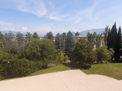exif-2025-06-20-15-24.jpg