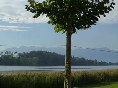 exif-2021-10-12-09-17.jpg