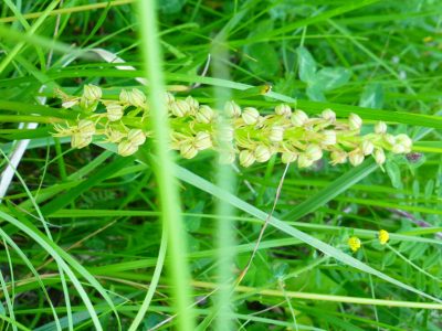 exif-2022-05-10-19-25-1.jpg