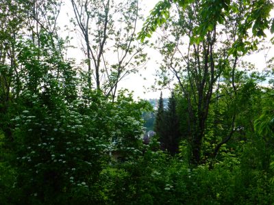 exif-2022-05-10-20-18.jpg