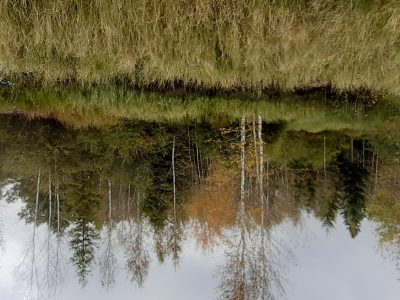 exif-2024-10-04-14-50.jpg