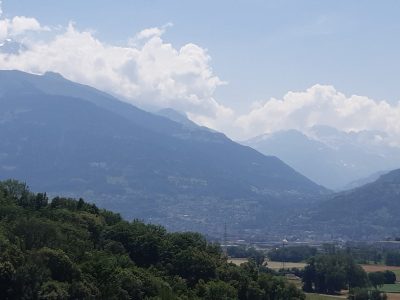 exif-2025-06-18-14-14.jpg