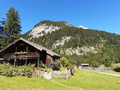 exif-2025-09-03-12-00-2.jpg