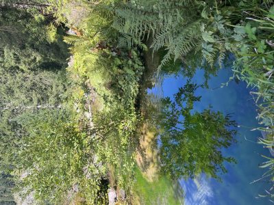 exif-2025-09-03-12-00-26.jpg