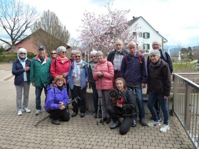 exif-2019-04-08-12-00-1.jpg