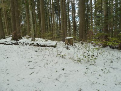 exif-2019-05-06-12-00-11.jpg