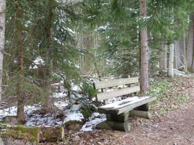 exif-2019-05-06-12-00-14.jpg