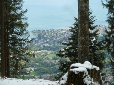 exif-2019-05-06-12-00-16.jpg