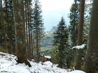 exif-2019-05-06-12-00-17.jpg