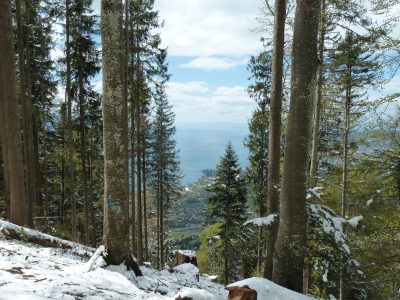 exif-2019-05-06-12-00-19.jpg