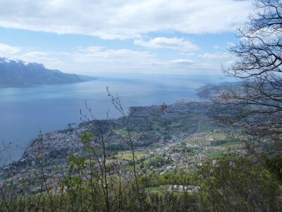 exif-2019-05-06-12-00-21.jpg