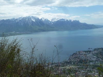 exif-2019-05-06-12-00-22.jpg