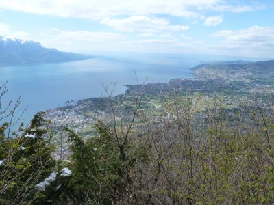 exif-2019-05-06-12-00-23.jpg