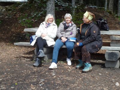 exif-2019-05-06-12-00-24.jpg
