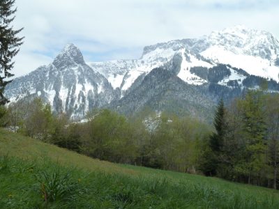 exif-2019-05-06-12-00-28.jpg
