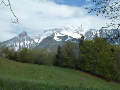 exif-2019-05-06-12-00-29.jpg