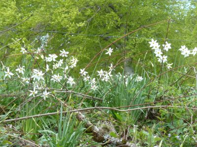 exif-2019-05-06-12-00-31.jpg