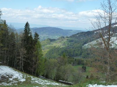 exif-2019-05-06-12-00-8.jpg