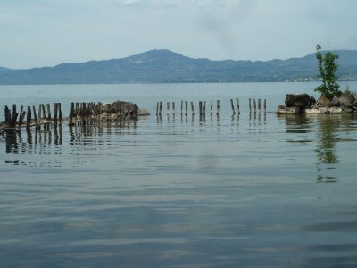 exif-2019-06-03-12-00-1.jpg