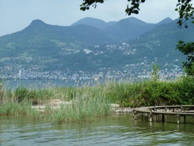 exif-2019-06-03-12-00-2.jpg