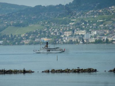 exif-2019-06-03-12-00-3.jpg