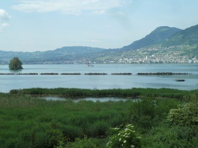 exif-2019-06-03-12-00-4.jpg