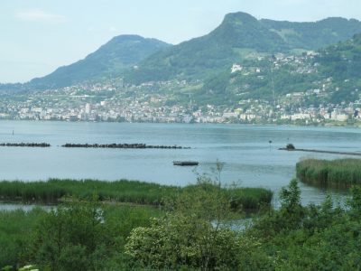 exif-2019-06-03-12-00-7.jpg