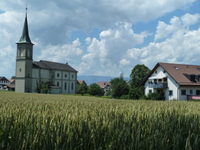 exif-2019-07-08-12-00.jpg