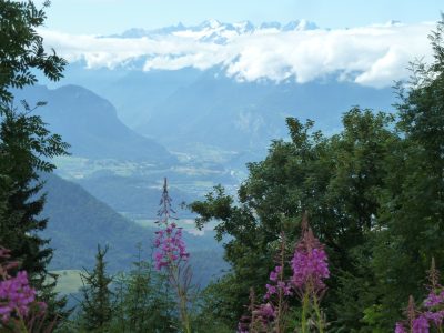 exif-2019-07-29-12-00-1.jpg