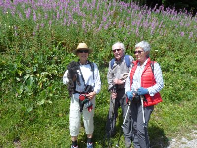 exif-2019-07-29-12-00-10.jpg