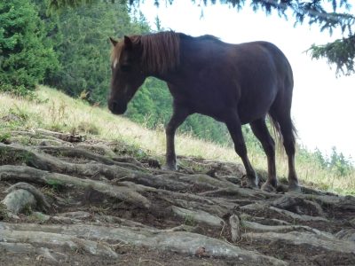 exif-2019-07-29-12-00-12.jpg