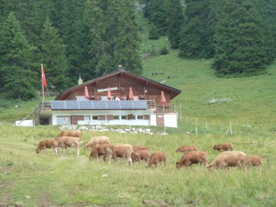 exif-2019-07-29-12-00-3.jpg
