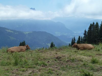 exif-2019-07-29-12-00-7.jpg
