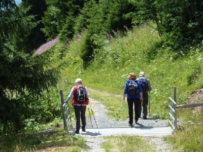 exif-2019-07-29-12-00-8.jpg