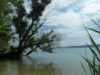 exif-2019-08-05-12-00-2.jpg