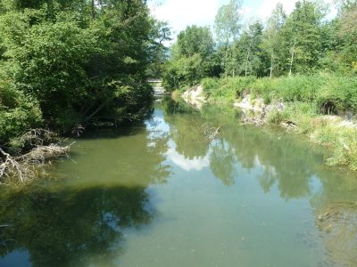 exif-2019-08-05-12-00-8.jpg