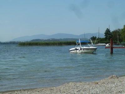 exif-2019-08-05-12-00.jpg