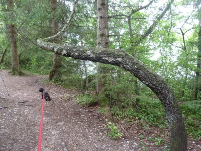 exif-2019-09-02-12-00-12.jpg