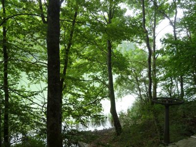 exif-2019-09-02-12-00-4.jpg
