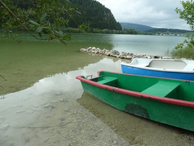 exif-2019-09-02-12-00-5.jpg