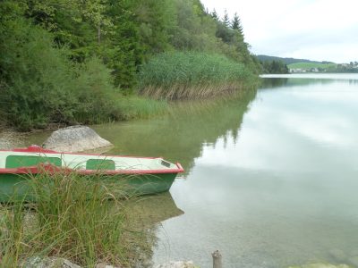 exif-2019-09-02-12-00-8.jpg