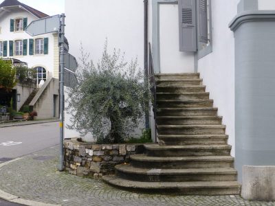 exif-2019-11-04-12-00-14.jpg