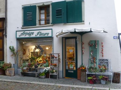 exif-2019-11-04-12-00-16.jpg