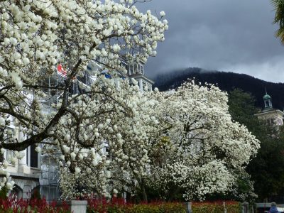 exif-2020-03-09-12-00-1.jpg