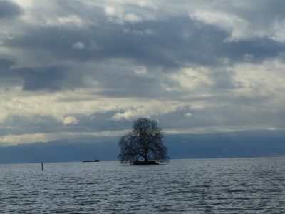 exif-2020-03-09-12-00-4.jpg