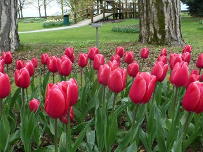 exif-2020-04-12-12-00-2.jpg