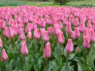 exif-2020-04-12-12-00-3.jpg