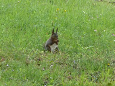 exif-2020-04-12-12-00-6.jpg
