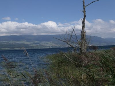 exif-2020-09-07-12-00.jpg